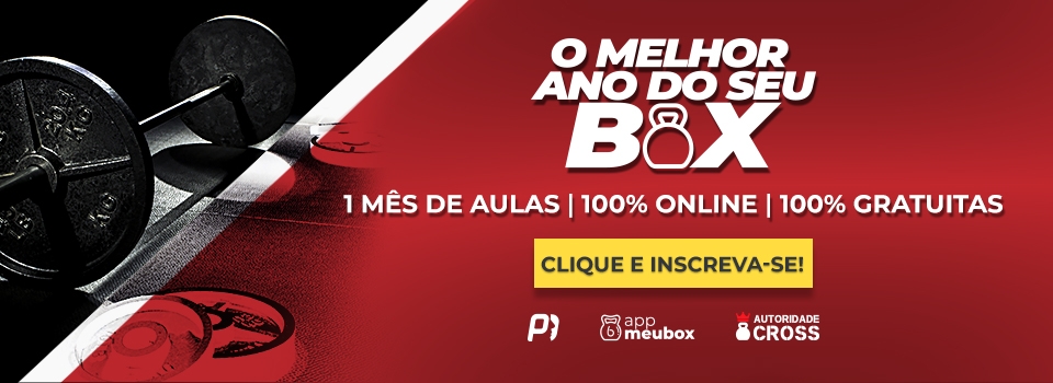 o melhor ano do seu box